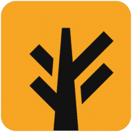 Ramifica app icon